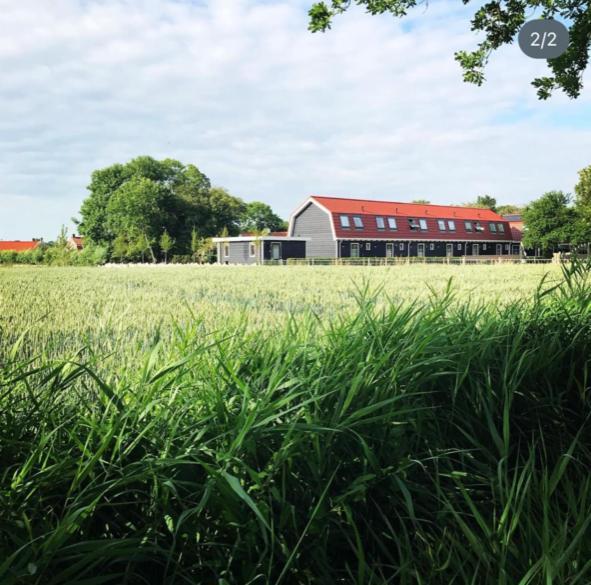 Vakantiewoningen de Schelp Renesse Exterior foto